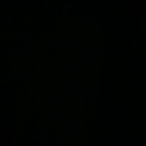 Meet your Posher, Alessander